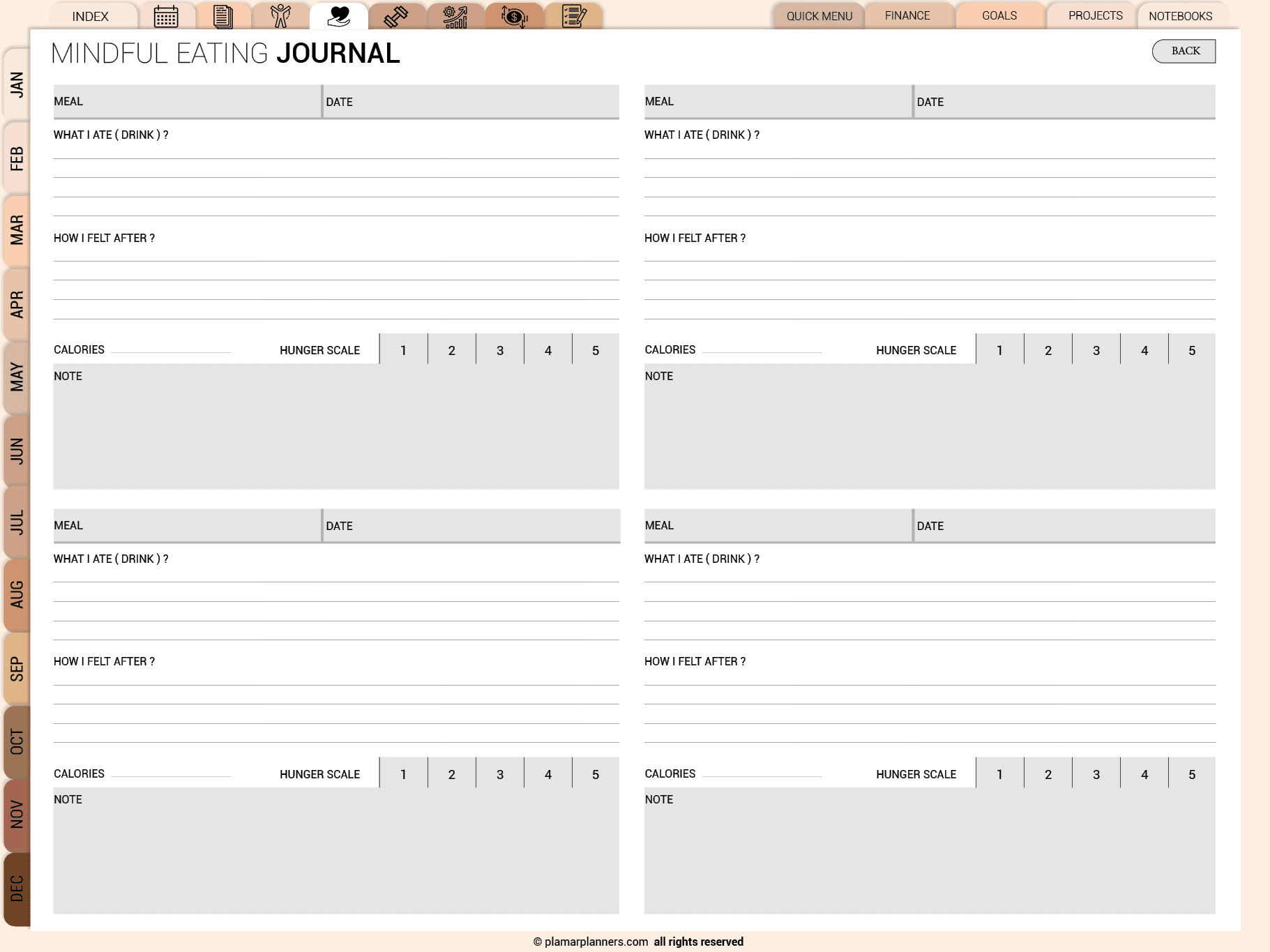 All Ine One Digital Planner