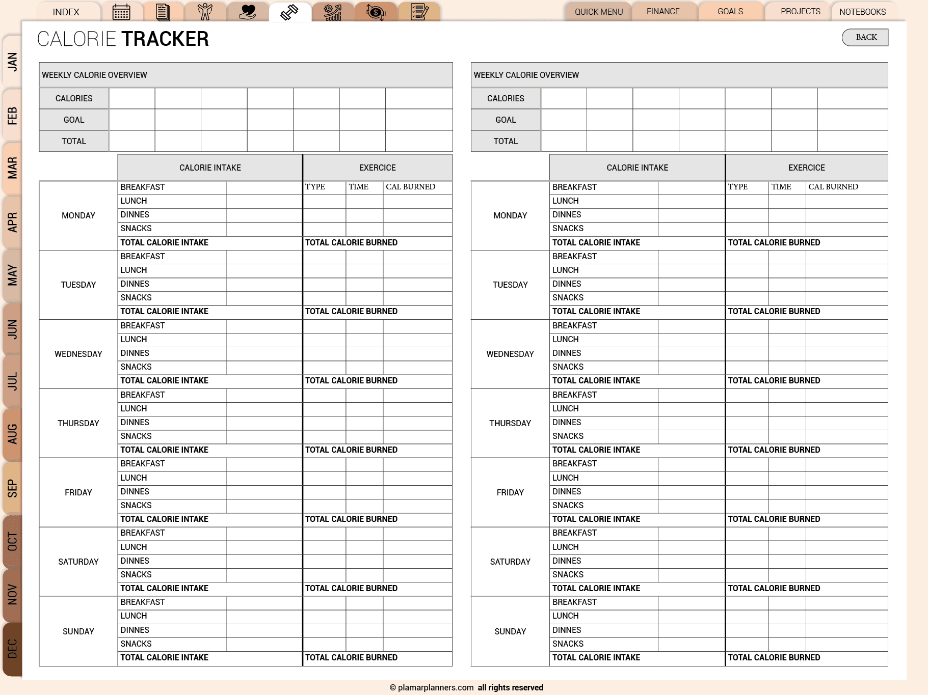 All Ine One Digital Planner
